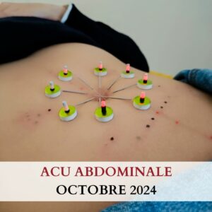 Formation Acupuncture Abdominale