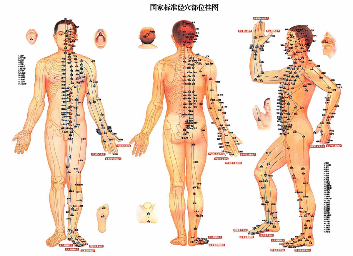 La lombalgie selon la médecine chinoise